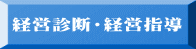 経営診断・経営指導